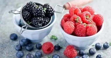 مصر تحقق ارتفاعًا في صادرات التوت إلى 30 مليون دولار