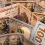 سعر الدولار في مصر اليوم 24 يوليو 2026