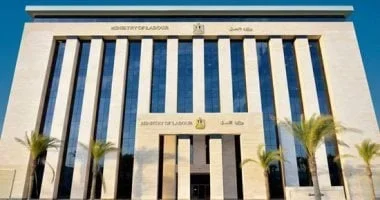 تنظيم التدريب والتأهيل وفقاً لقانون العمل الجديد