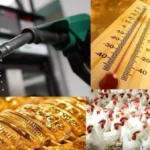تطورات أسعار البنزين والسولار والذهب والدولار في مصر