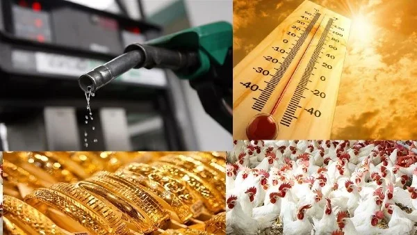 تطورات أسعار البنزين والسولار والذهب والدولار في مصر