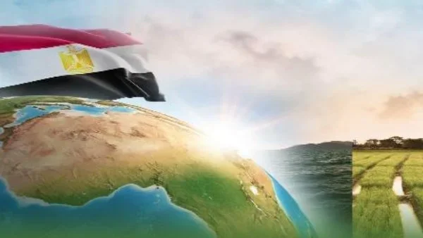 تعزيز التعاون الاقتصادي المصري في إفريقيا