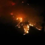 استمرار جهود السيطرة على حريق غابات في كاش