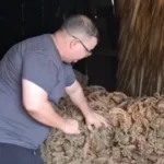كوبا تواجه الحصار الأمريكي بالطاقة الشمسية