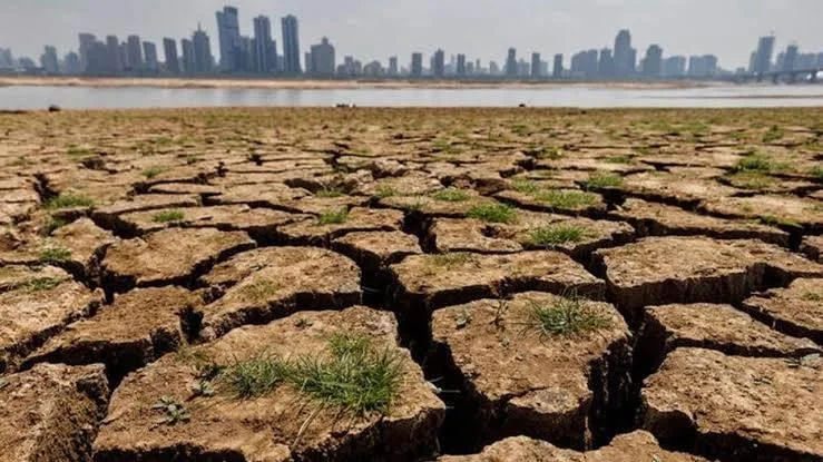 خطرات ظاهرة إيل نينيو على الاقتصاد الأمريكي
