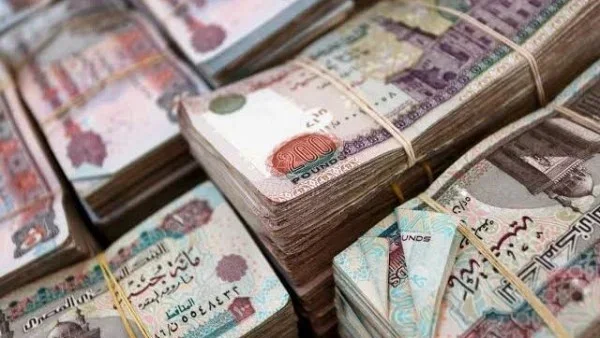 انخفاض 4.3% في تعويضات شركات التأمين بمصر