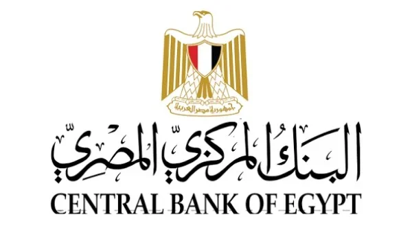 البنك المركزي المصري ينشر أول تقرير للاستقرار المالي الإفريقي