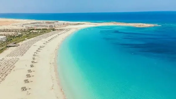 أسعار الشيشة: فروق شاسعة بين المقاهي واللاونجات