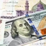 استقرار سعر الدولار أمام الجنيه المصري اليوم