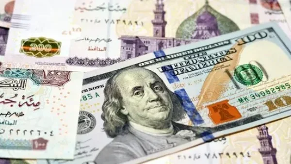 استقرار سعر الدولار أمام الجنيه المصري اليوم