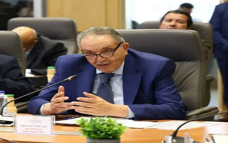 دمج القطاع غير الرسمي في الاقتصاد المصري