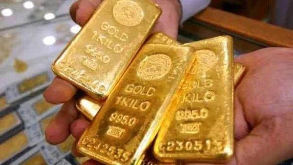 أسعار سبائك الذهب عيار 24 في السوق المصري اليوم